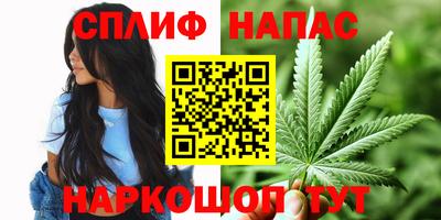 прущие грибы Моздок