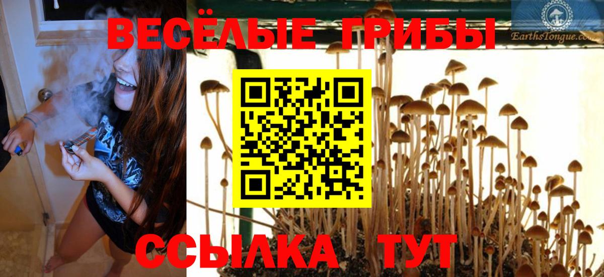 Галлюциногенные грибы Magic Shrooms  Вход с VPN  Элиста  Псилоцибиновые грибы мухоморы 